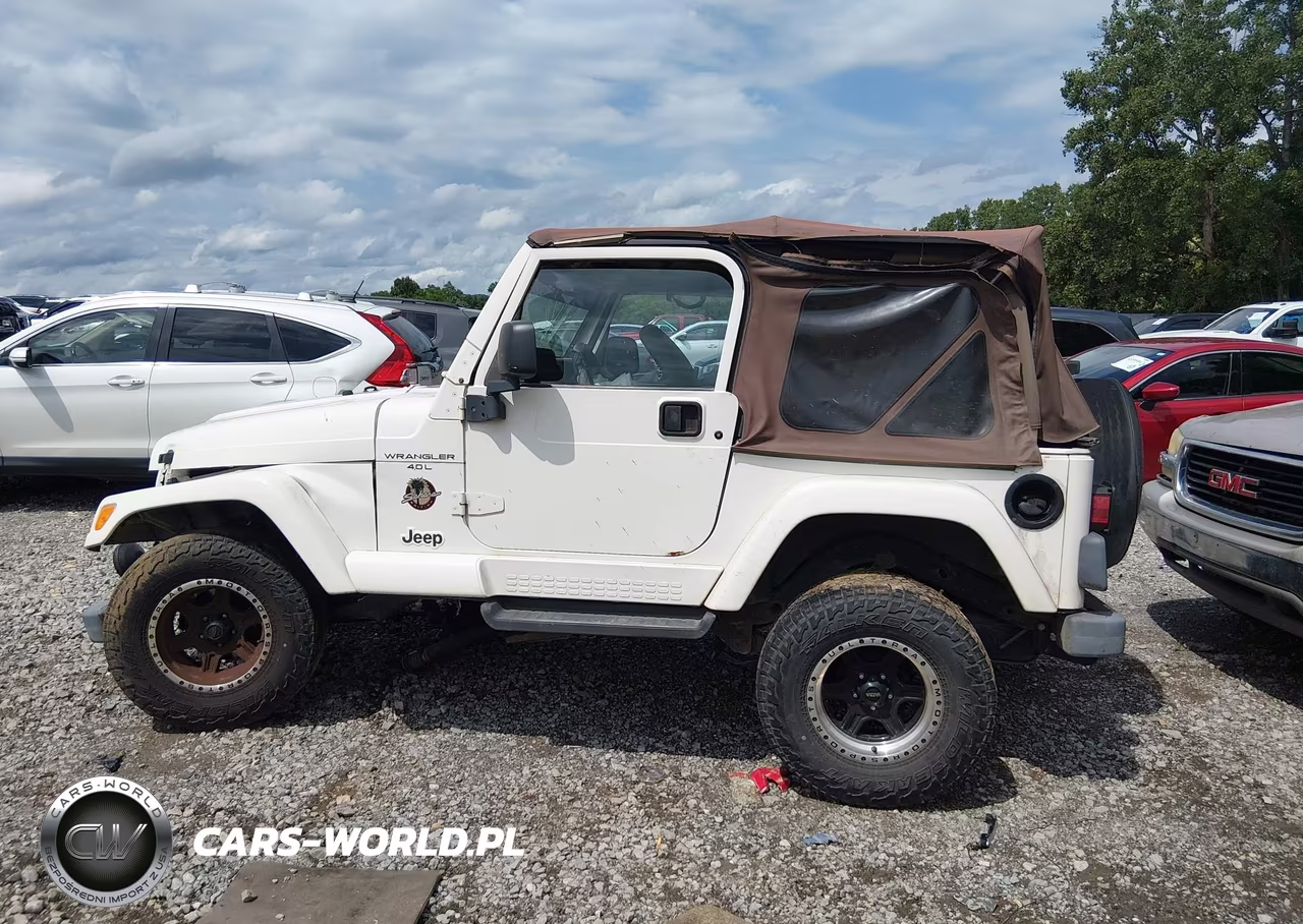 2000 Jeep Wrangler Sahara VIN:1J4FA59S1YP701023 - 13