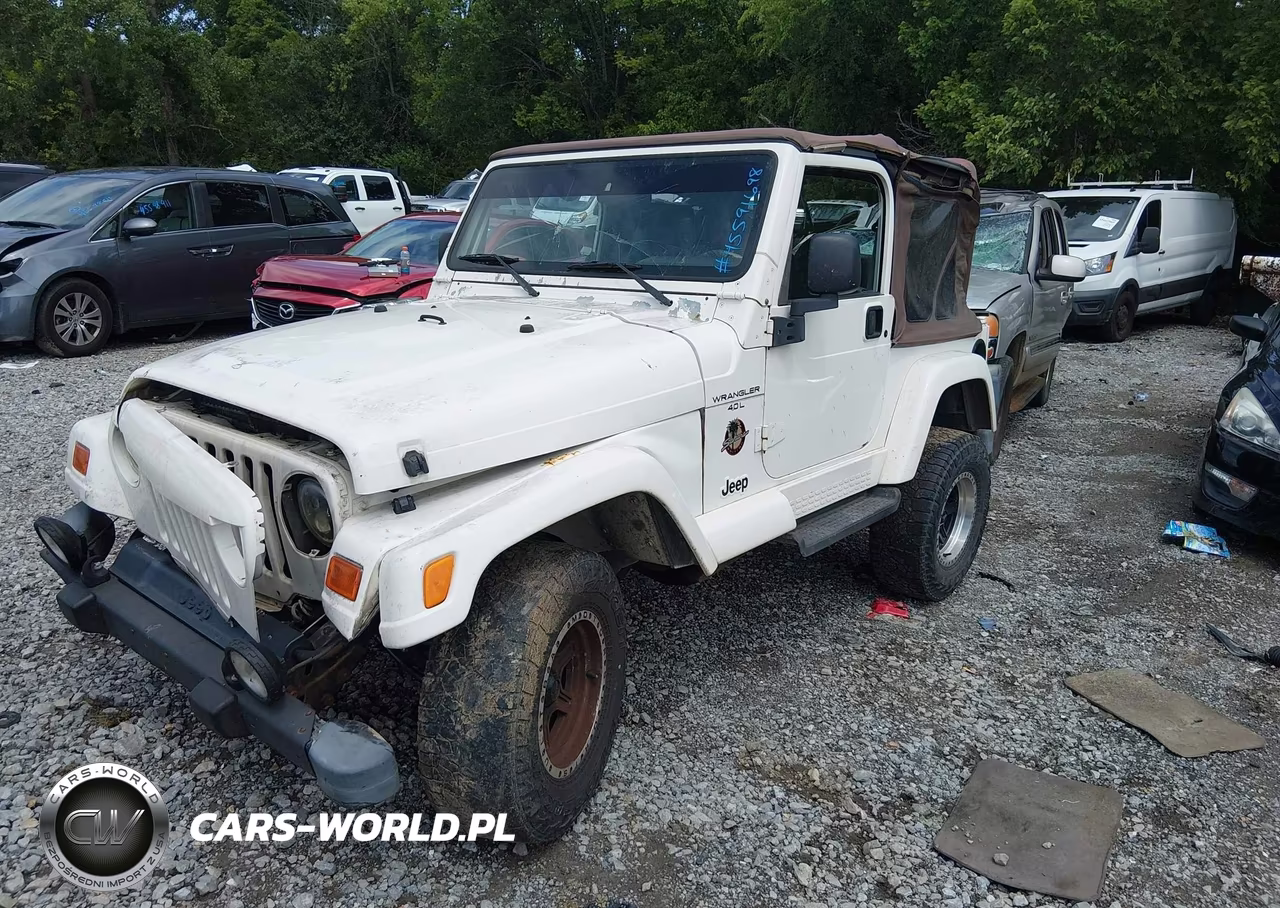 2000 Jeep Wrangler Sahara VIN:1J4FA59S1YP701023 - 2