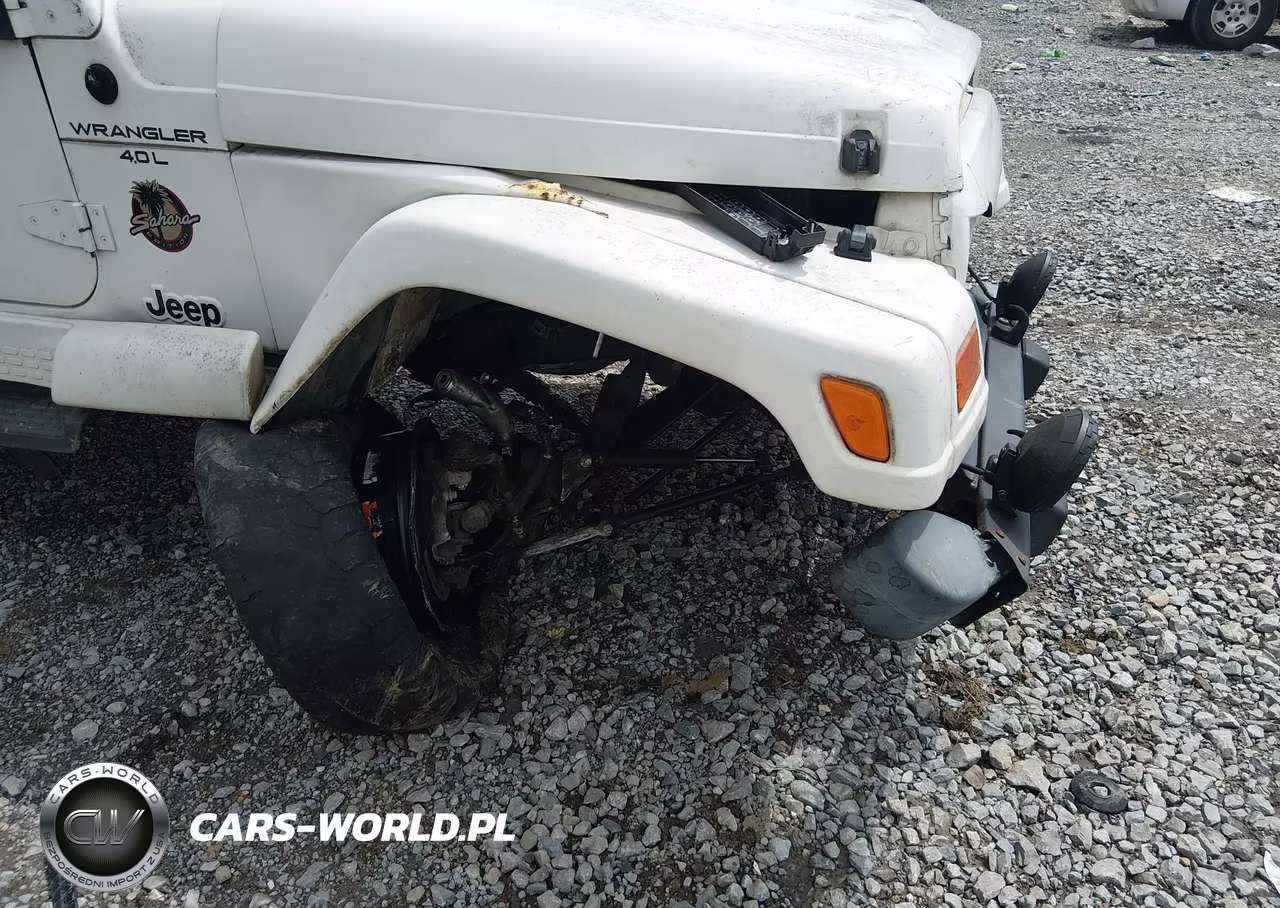 2000 Jeep Wrangler Sahara VIN:1J4FA59S1YP701023 - 6