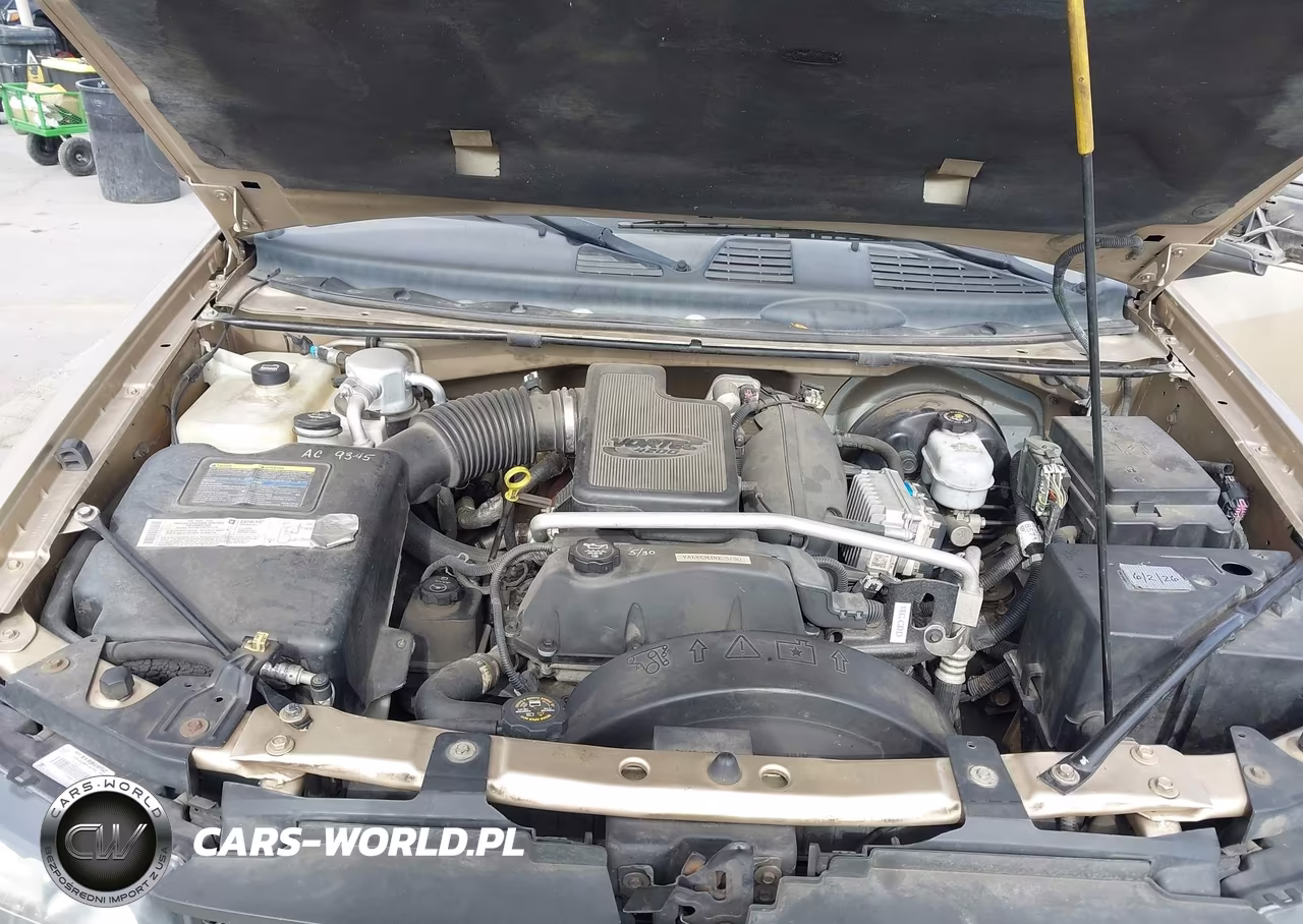 2004 Chevrolet Trailblazer Ext Ls VIN:1GNET16S446186101 - 10
