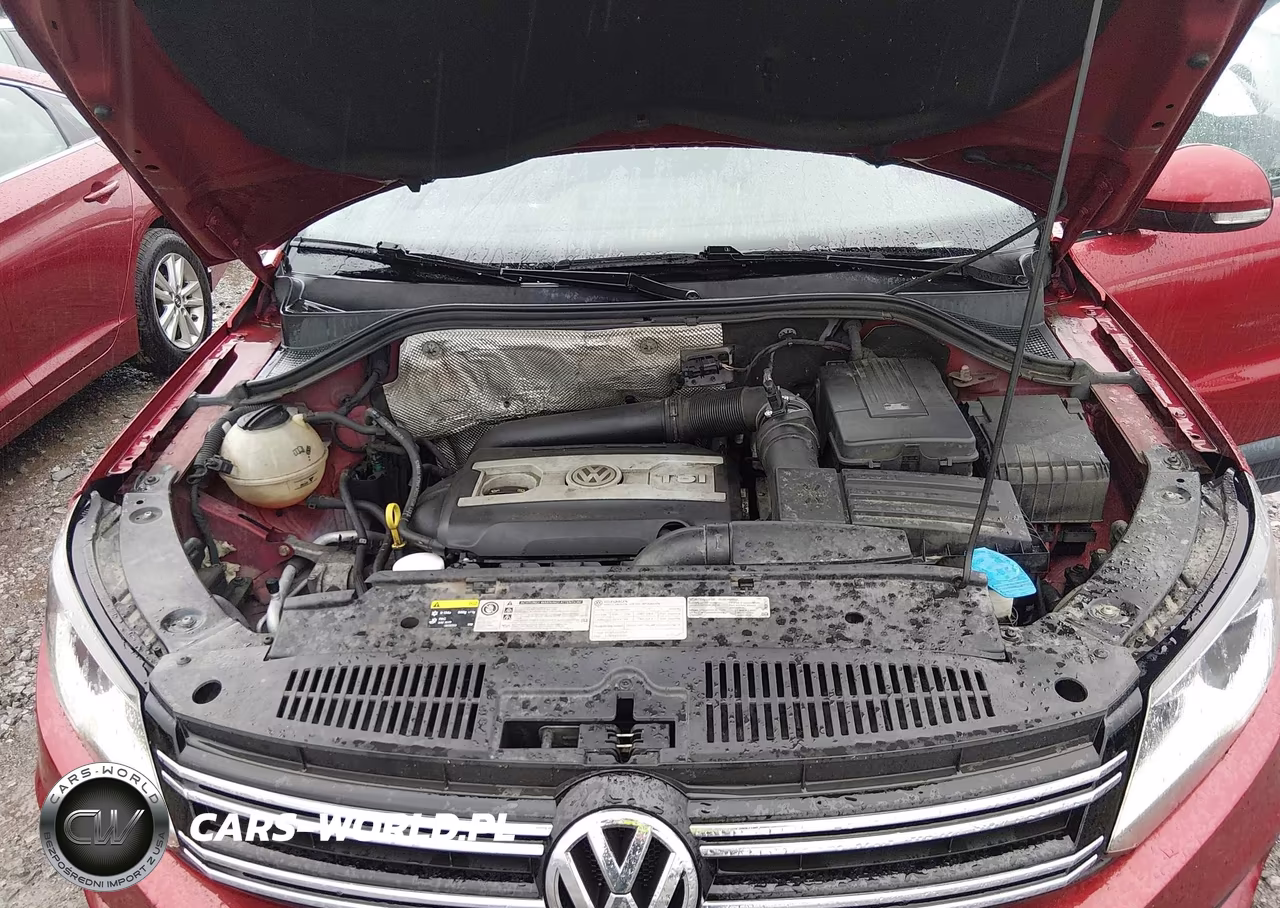 2014 Volkswagen Tiguan S VIN:WVGCV3AX7EW086838 - 10