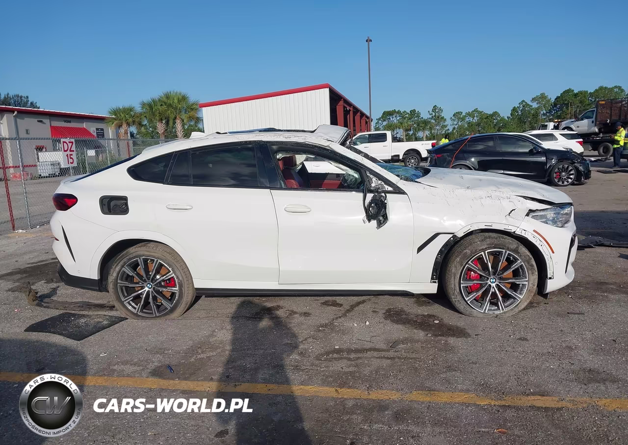 2021 BMW X6 Sdrive40I VIN:5UXCY4C03M9G02273 - 12