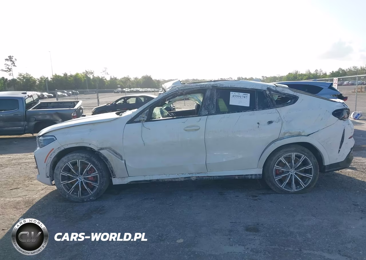 2021 BMW X6 Sdrive40I VIN:5UXCY4C03M9G02273 - 13