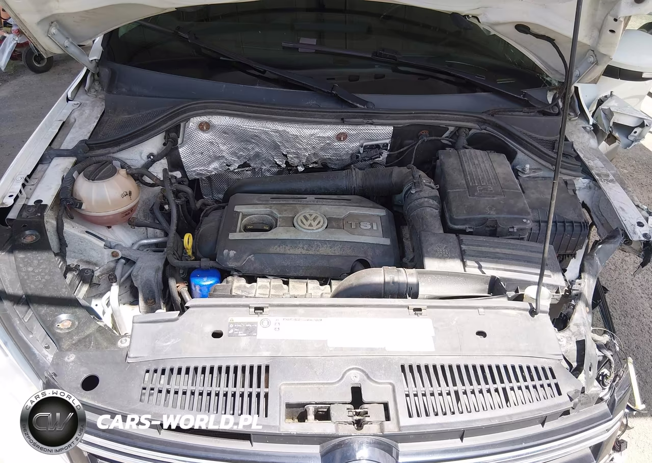 2014 Volkswagen Tiguan S VIN:WVGBV3AX3EW615049 - 10