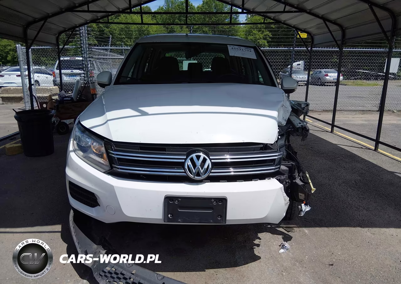 2014 Volkswagen Tiguan S VIN:WVGBV3AX3EW615049 - 12