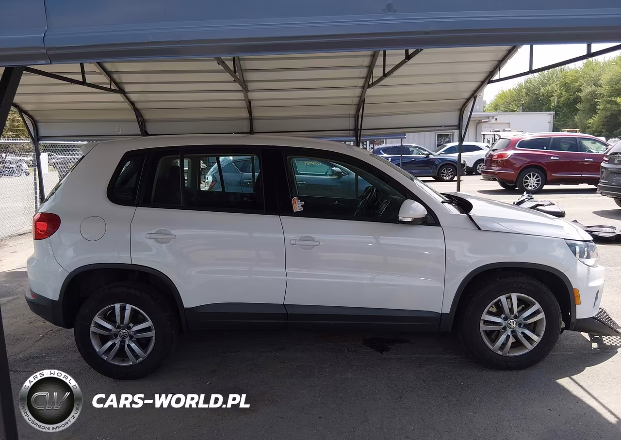 2014 Volkswagen Tiguan S VIN:WVGBV3AX3EW615049 - 13