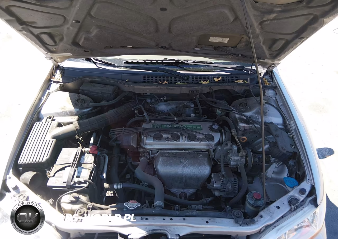 1999 Honda Accord Lx VIN:JHMCG6656XC024955 - 10