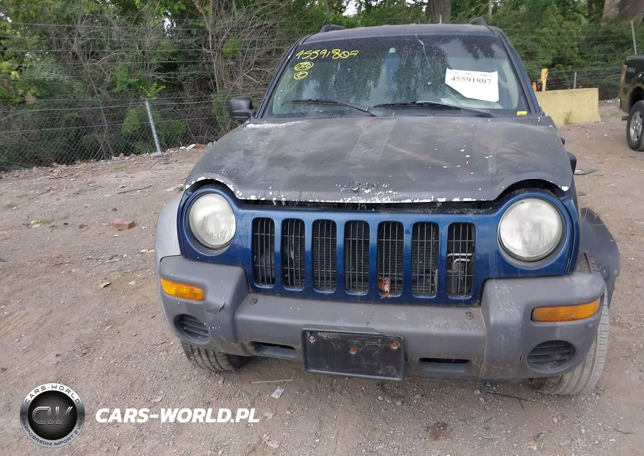 2003 Jeep Liberty Sport VIN:1J4GL48K93W594358 - 12