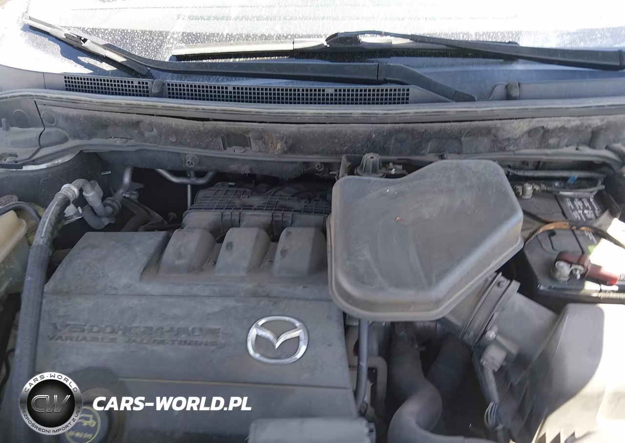 2009 Mazda Cx-9 Touring VIN:JM3TB38A890178099 - 10