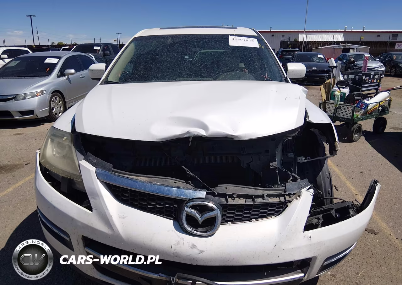 2009 Mazda Cx-9 Touring VIN:JM3TB38A890178099 - 12