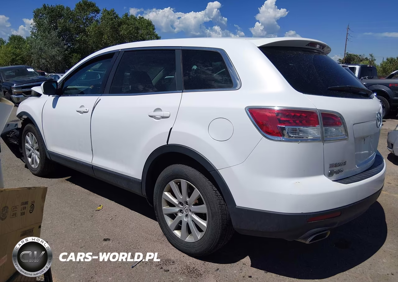 2009 Mazda Cx-9 Touring VIN:JM3TB38A890178099 - 3