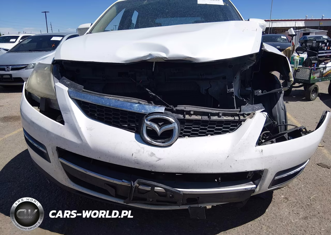 2009 Mazda Cx-9 Touring VIN:JM3TB38A890178099 - 6
