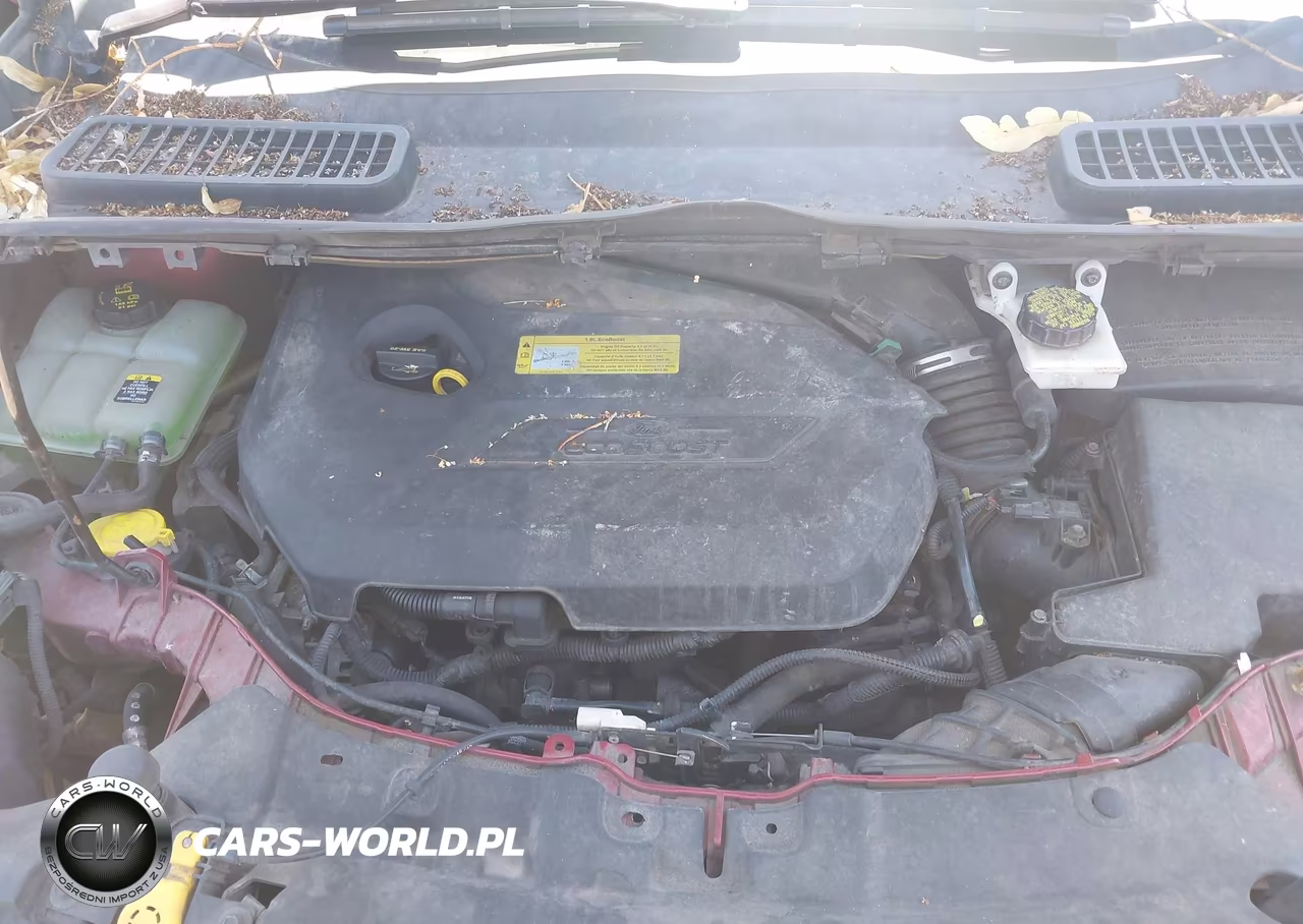 2013 Ford Escape Se VIN:1FMCU9GX3DUB40000 - 10