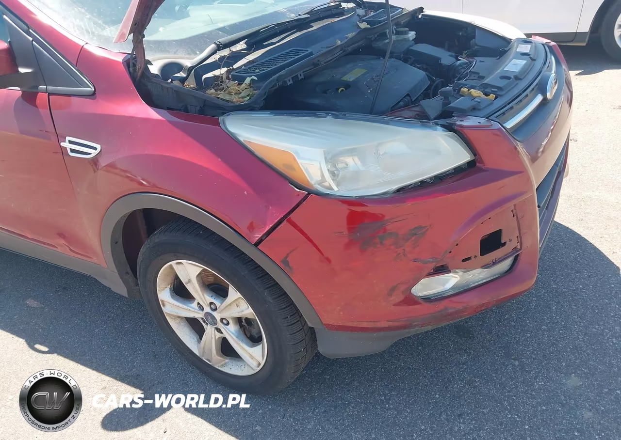2013 Ford Escape Se VIN:1FMCU9GX3DUB40000 - 16