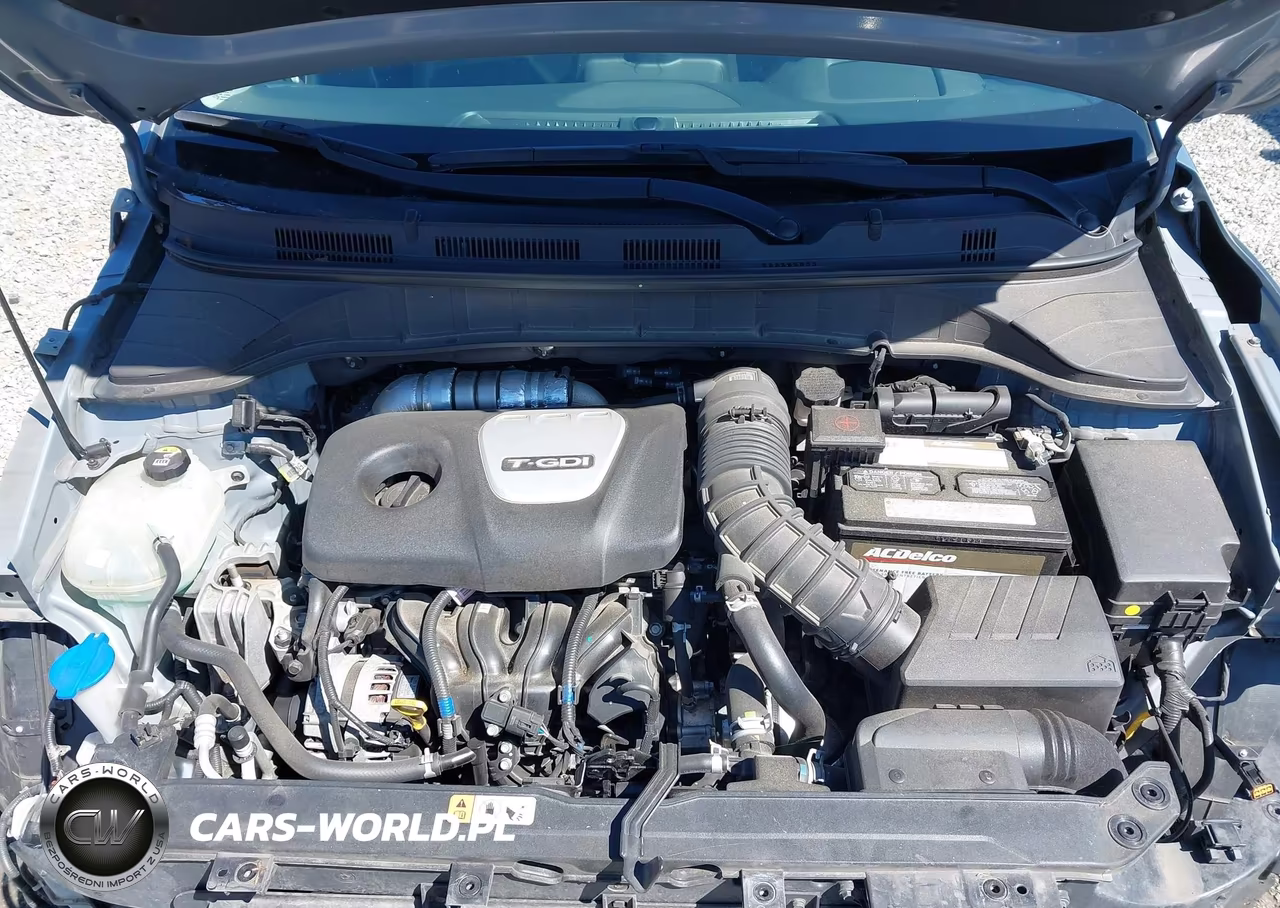 2019 Hyundai Kona Ultimate VIN:KM8K5CA58KU377611 - 10