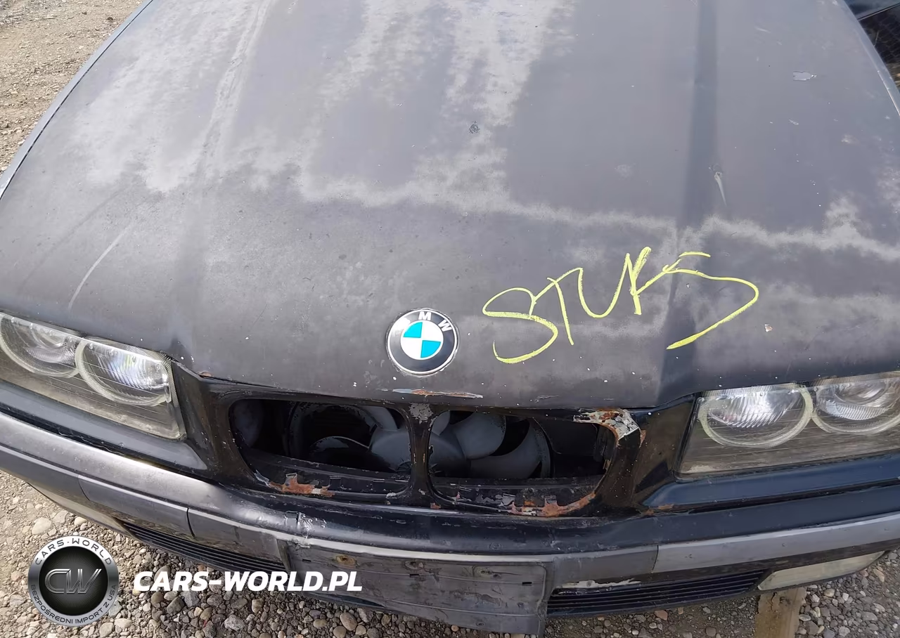 1998 BMW 328I VIN:WBACD4323WAV58074 - 10