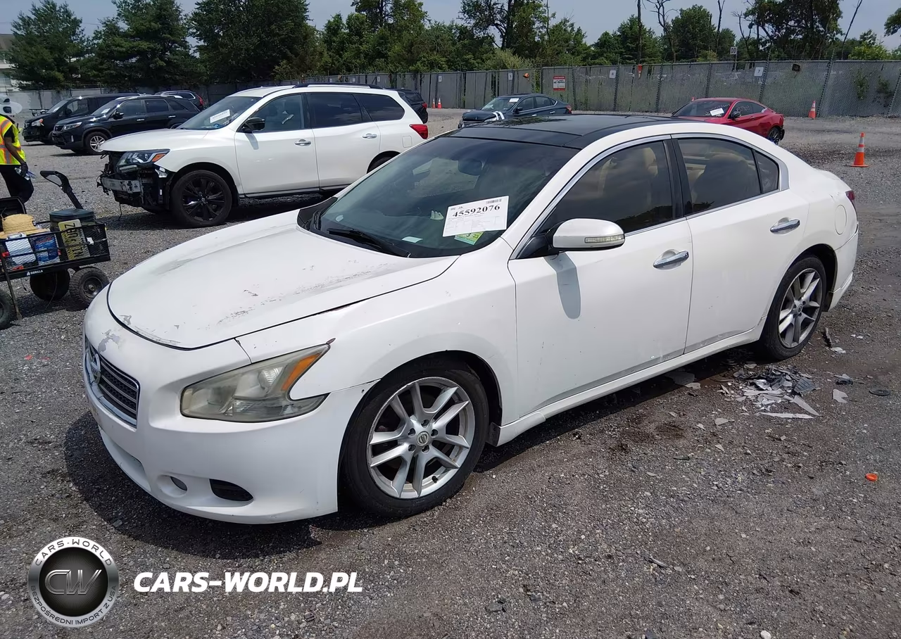 2009 Nissan Maxima 3.5 Sv VIN:1N4AA51E69C830993 - 2