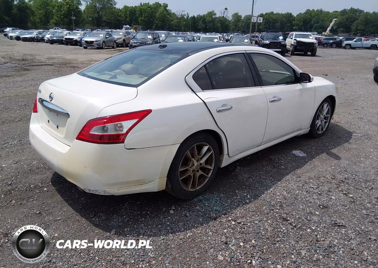 2009 Nissan Maxima 3.5 Sv VIN:1N4AA51E69C830993 - 4