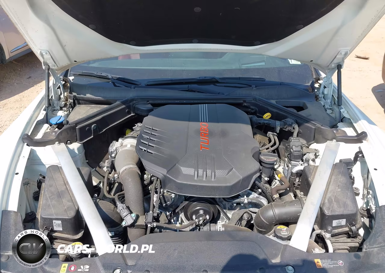 2020 Kia Stinger Gt2 VIN:KNAE55LC8L6075764 - 10