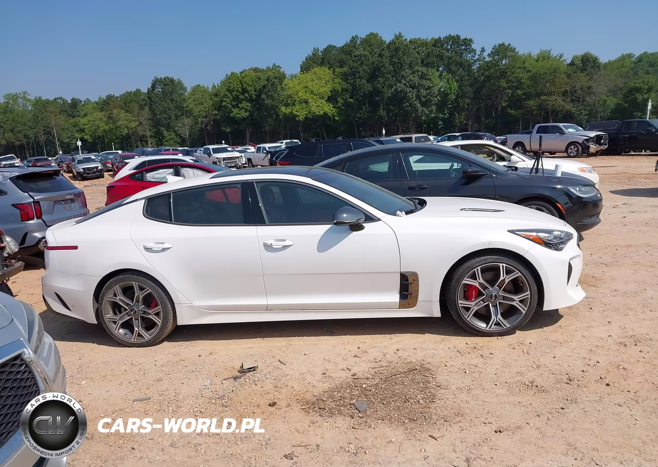 2020 Kia Stinger Gt2 VIN:KNAE55LC8L6075764 - 13