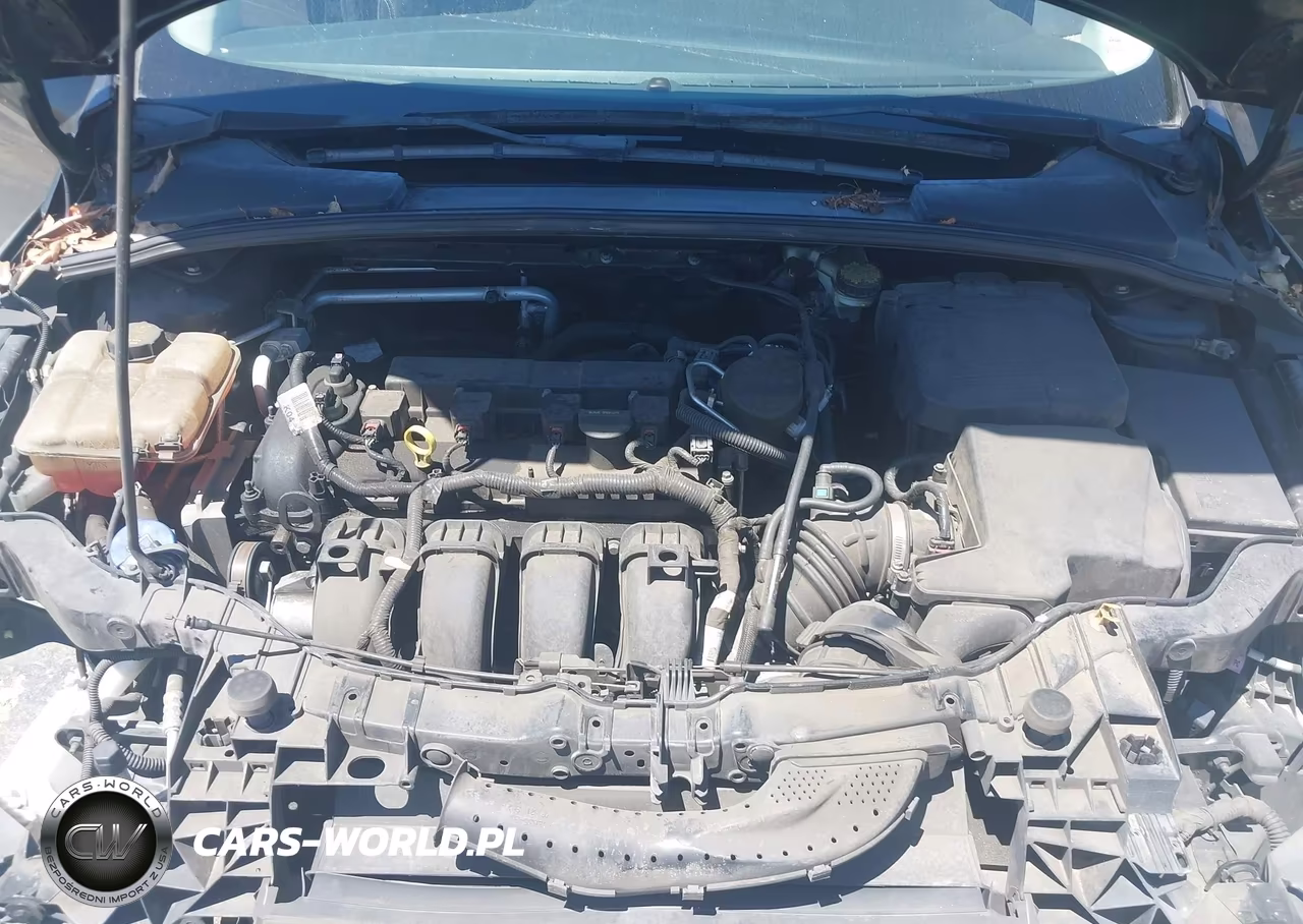 2014 Ford Focus Se VIN:1FADP3K27EL300403 - 10
