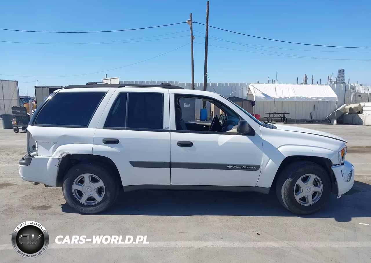 2003 Chevrolet Trailblazer Ls VIN:1GNDS13S832394782 - 13