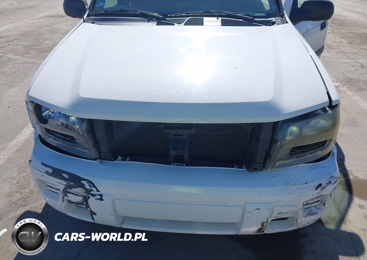 2003 Chevrolet Trailblazer Ls VIN:1GNDS13S832394782 - 6