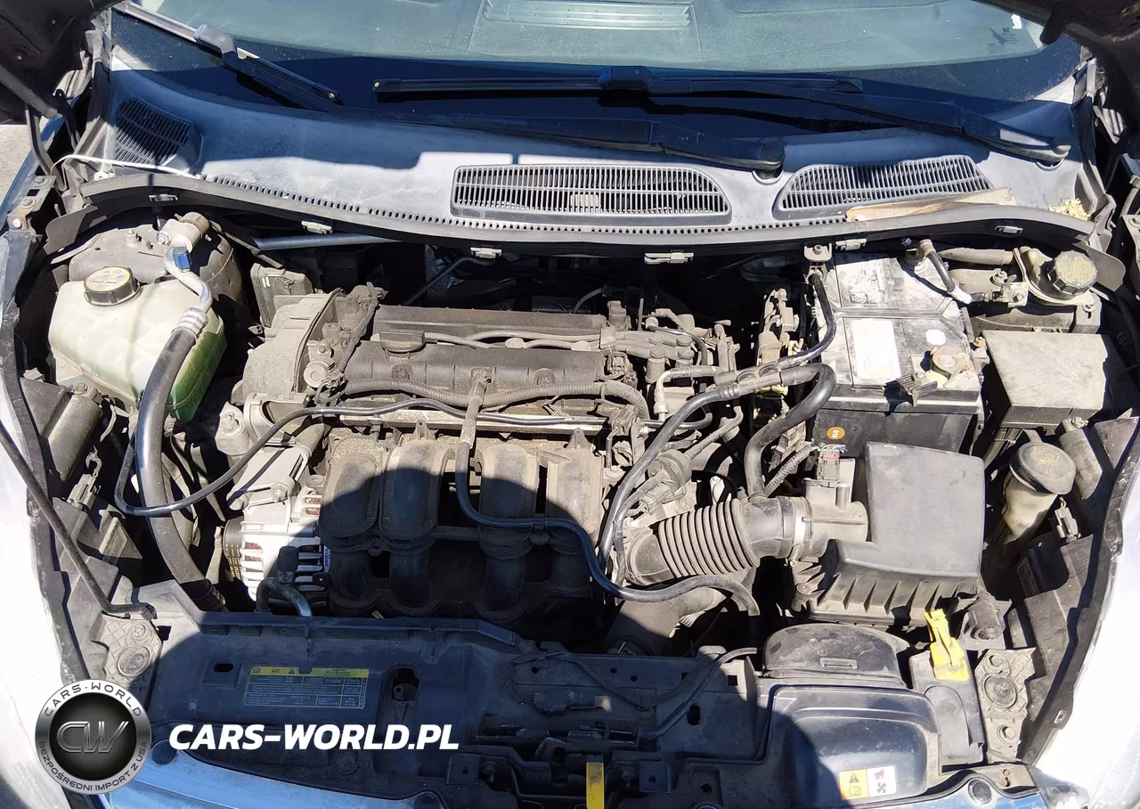 2013 Ford Fiesta Se VIN:3FADP4BJ7DM208105 - 10