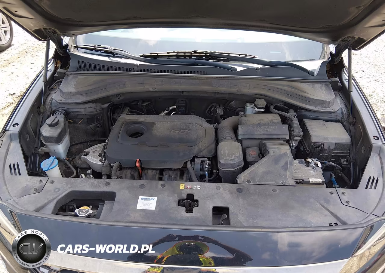 2019 Hyundai Santa Fe Sel VIN:5NMS33AD8KH128282 - 10