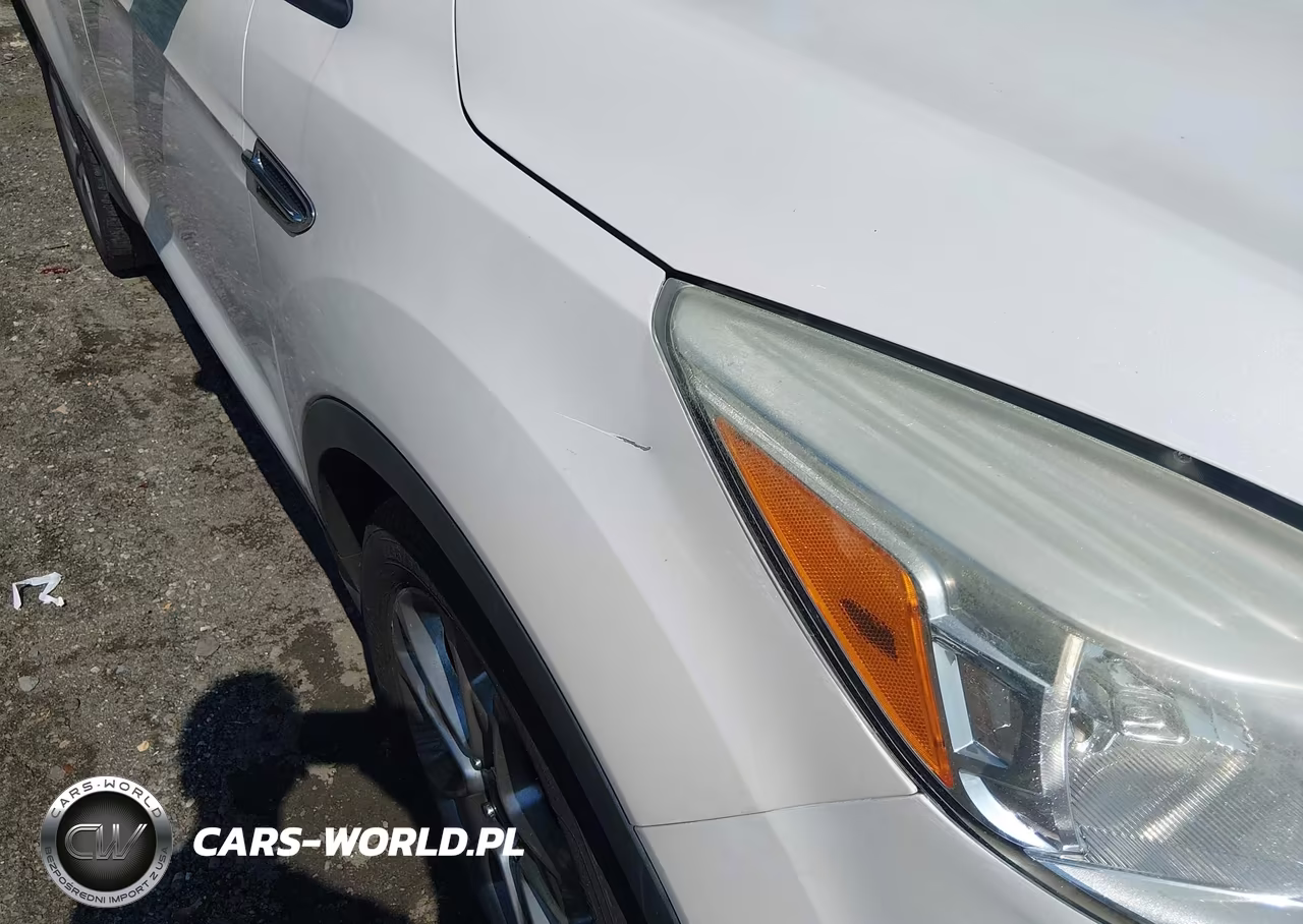 2013 Ford Escape Sel VIN:1FMCU9H99DUC40070 - 6