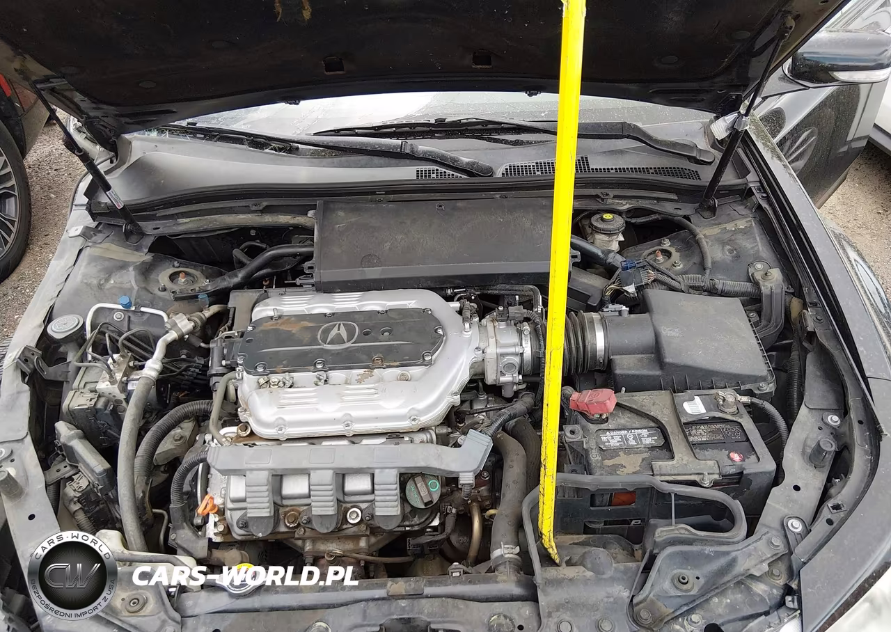 2010 Acura Tl 3.7 VIN:19UUA9F52AA006420 - 10