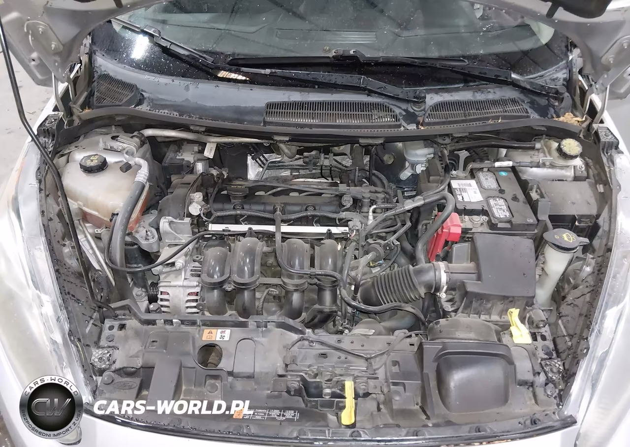 2015 Ford Fiesta Se VIN:3FADP4EJ7FM213920 - 10