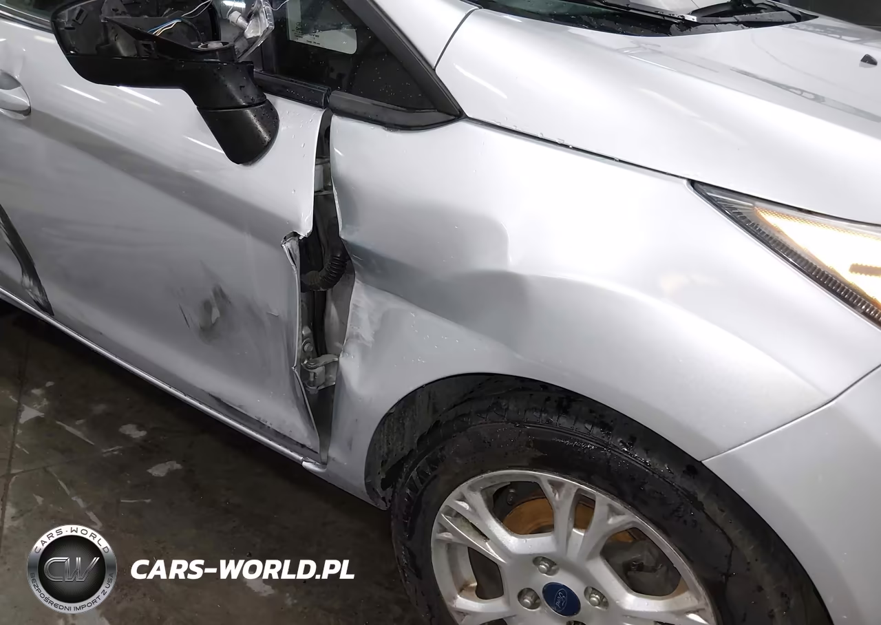 2015 Ford Fiesta Se VIN:3FADP4EJ7FM213920 - 17
