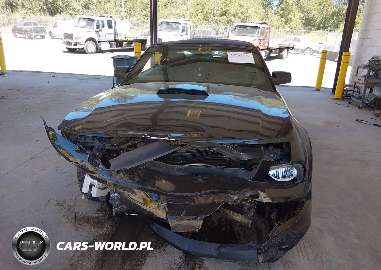 2007 Ford Mustang Gt Deluxe-Gt Premium VIN:1ZVHT85H375239365 - 13