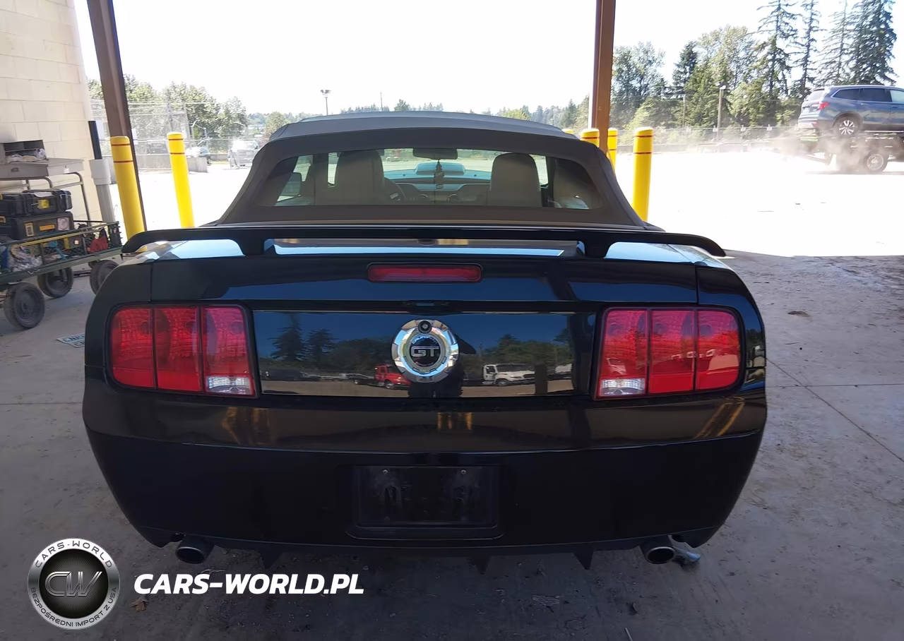 2007 Ford Mustang Gt Deluxe-Gt Premium VIN:1ZVHT85H375239365 - 17