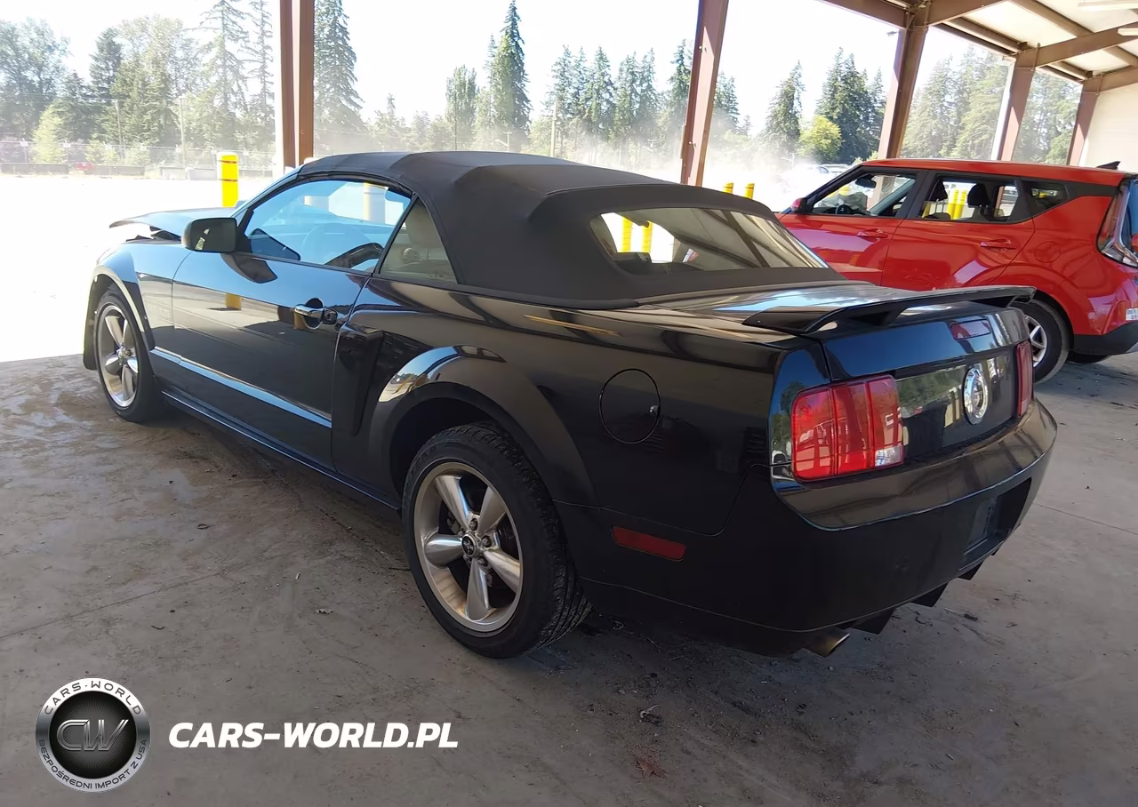 2007 Ford Mustang Gt Deluxe-Gt Premium VIN:1ZVHT85H375239365 - 3