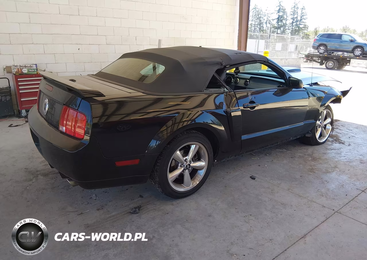 2007 Ford Mustang Gt Deluxe-Gt Premium VIN:1ZVHT85H375239365 - 4