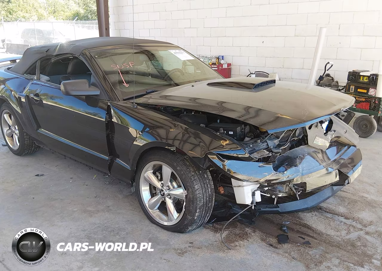 2007 Ford Mustang Gt Deluxe-Gt Premium VIN:1ZVHT85H375239365 - 6