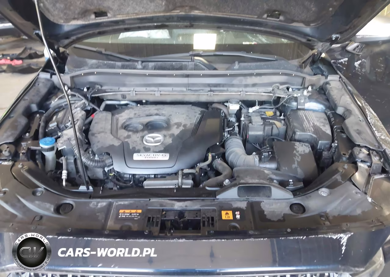2024 Mazda Cx-5 2.5 Turbo Signature VIN:JM3KFBXY5R0404365 - 10