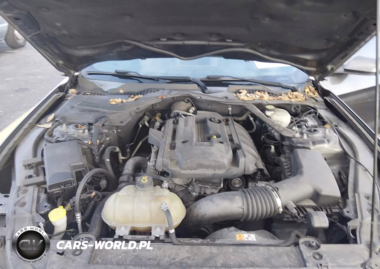 2017 Ford Mustang Ecoboost VIN:1FA6P8TH7H5259188 - 10