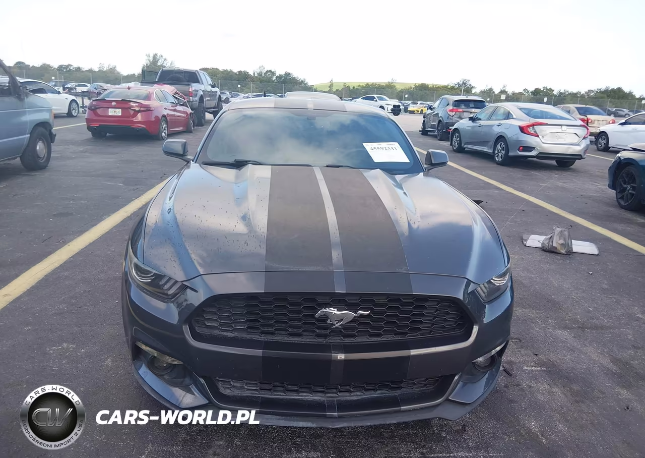 2017 Ford Mustang Ecoboost VIN:1FA6P8TH7H5259188 - 12