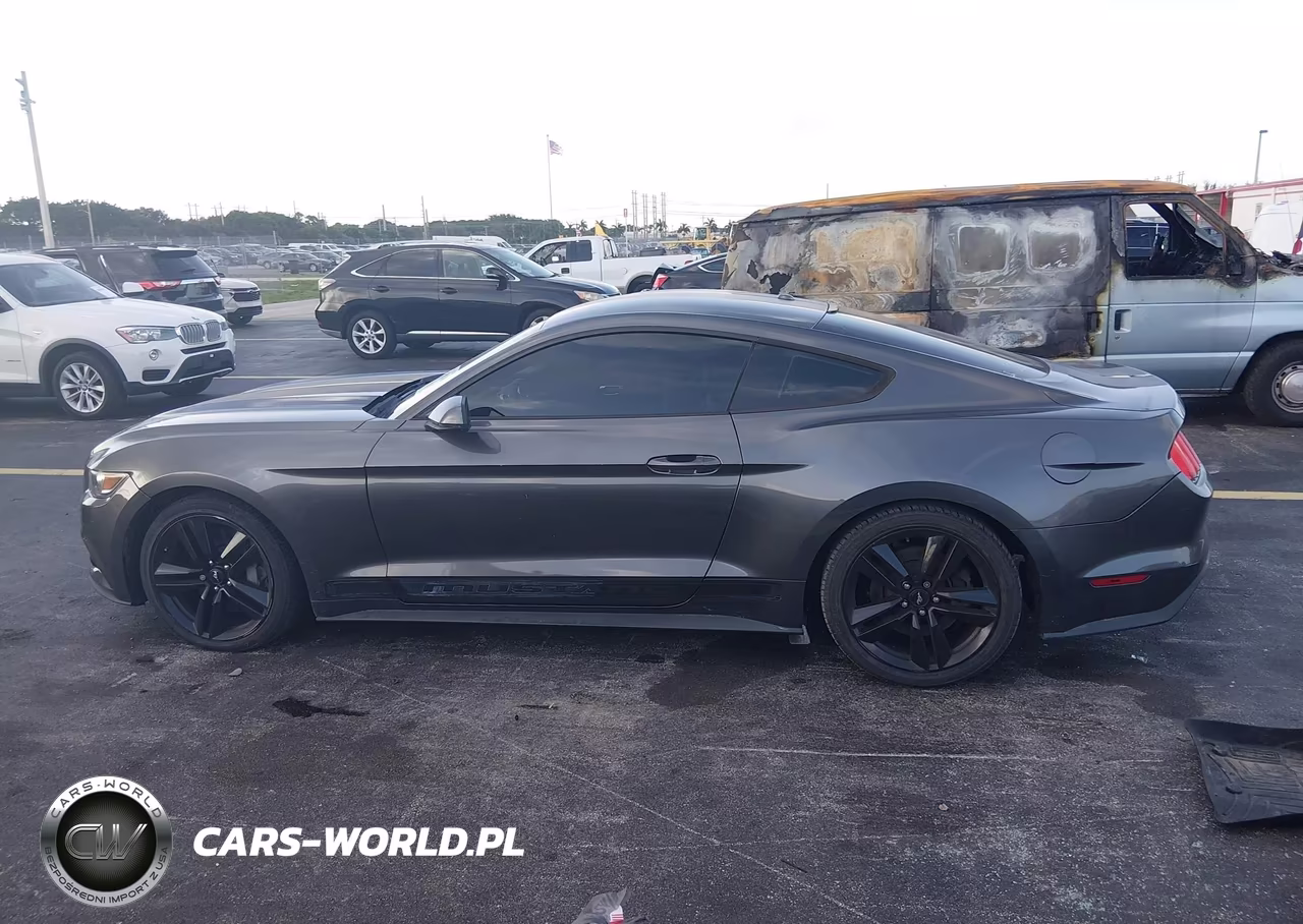 2017 Ford Mustang Ecoboost VIN:1FA6P8TH7H5259188 - 14