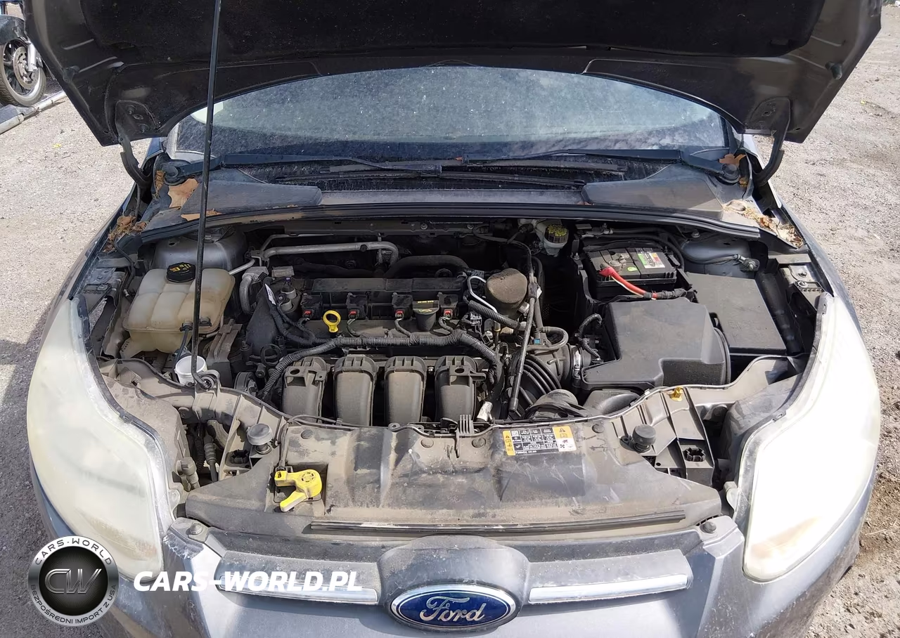 2014 FORD FOCUS S VIN:1FADP3E20EL373446 - 10