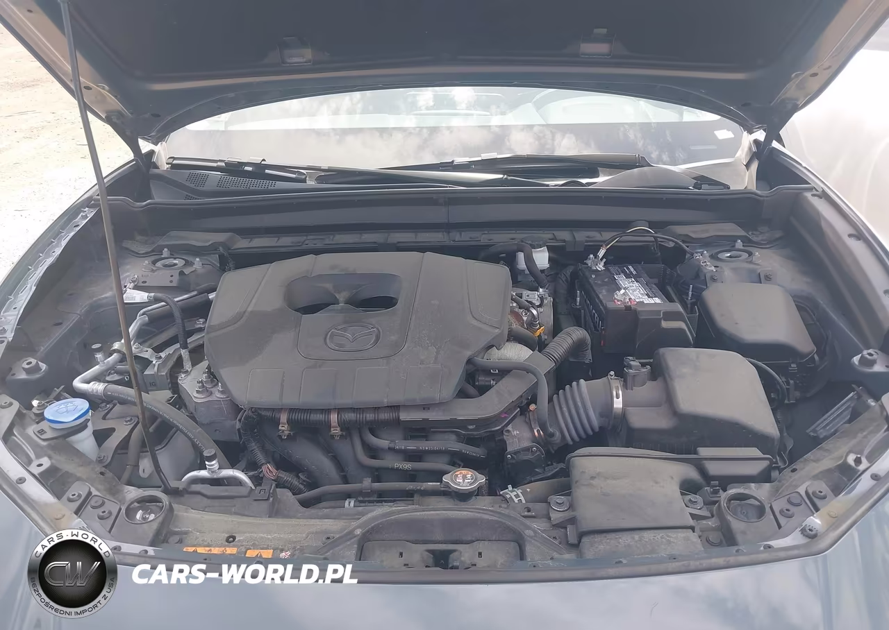 2024 Mazda Cx-30 Preferred VIN:3MVDMBCMXRM617687 - 10