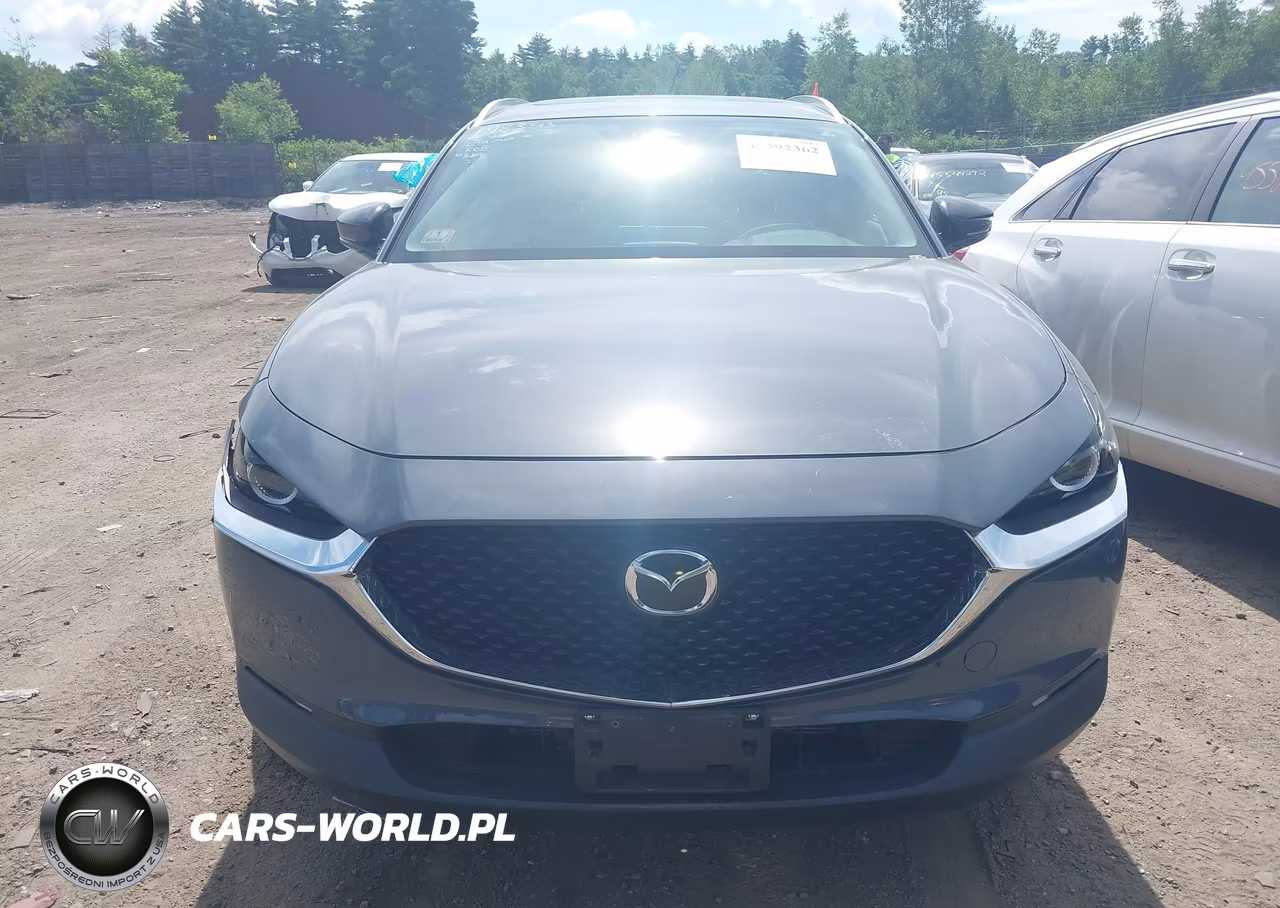 2024 Mazda Cx-30 Preferred VIN:3MVDMBCMXRM617687 - 12