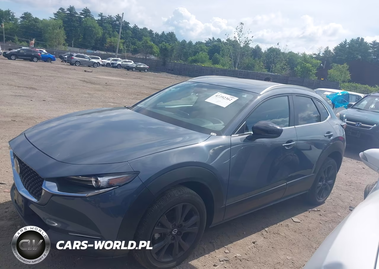 2024 Mazda Cx-30 Preferred VIN:3MVDMBCMXRM617687 - 14