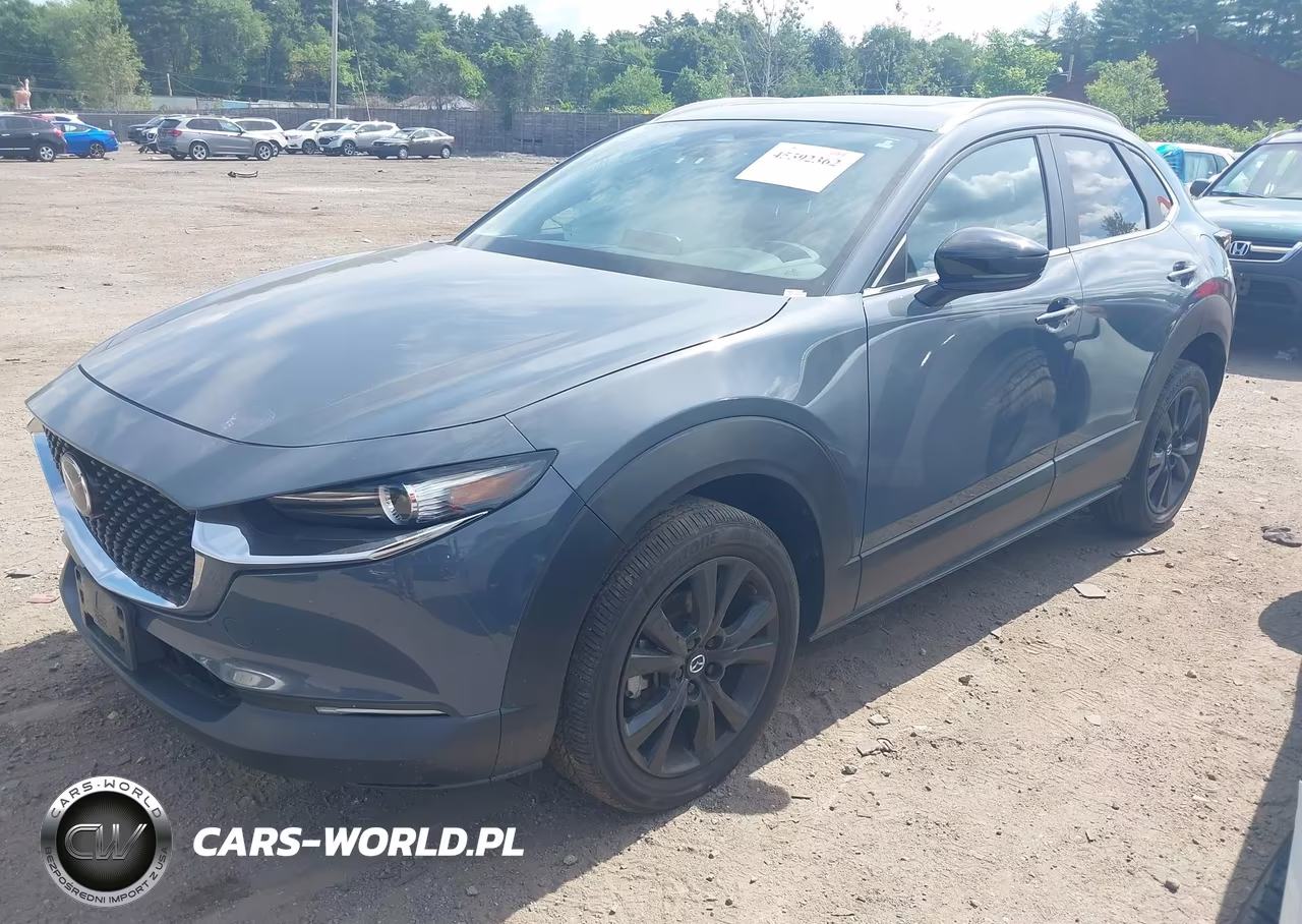 2024 Mazda Cx-30 Preferred VIN:3MVDMBCMXRM617687 - 2