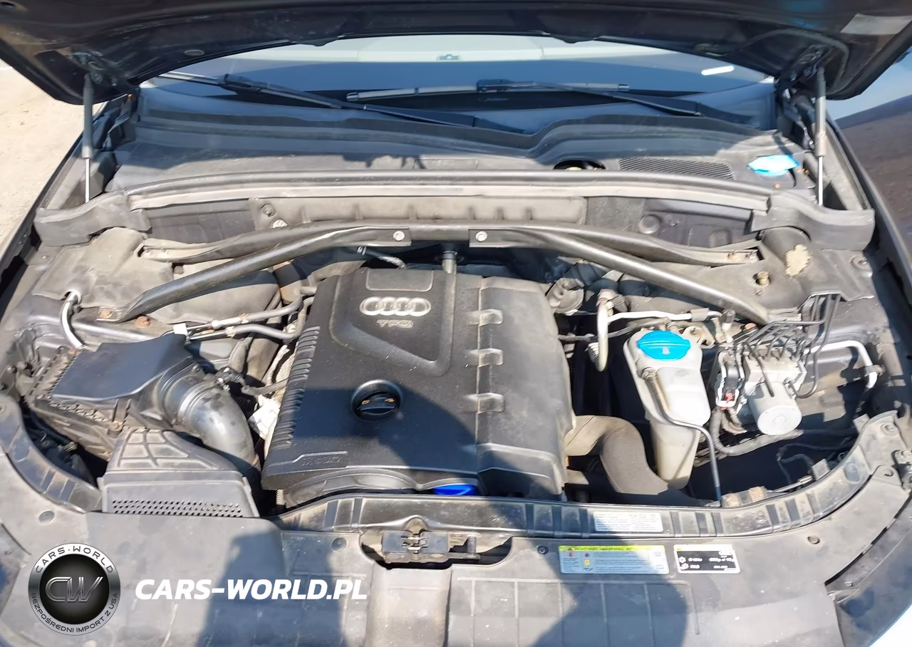 2013 Audi Q5 2.0T Premium VIN:WA1LFAFP6DA009494 - 10