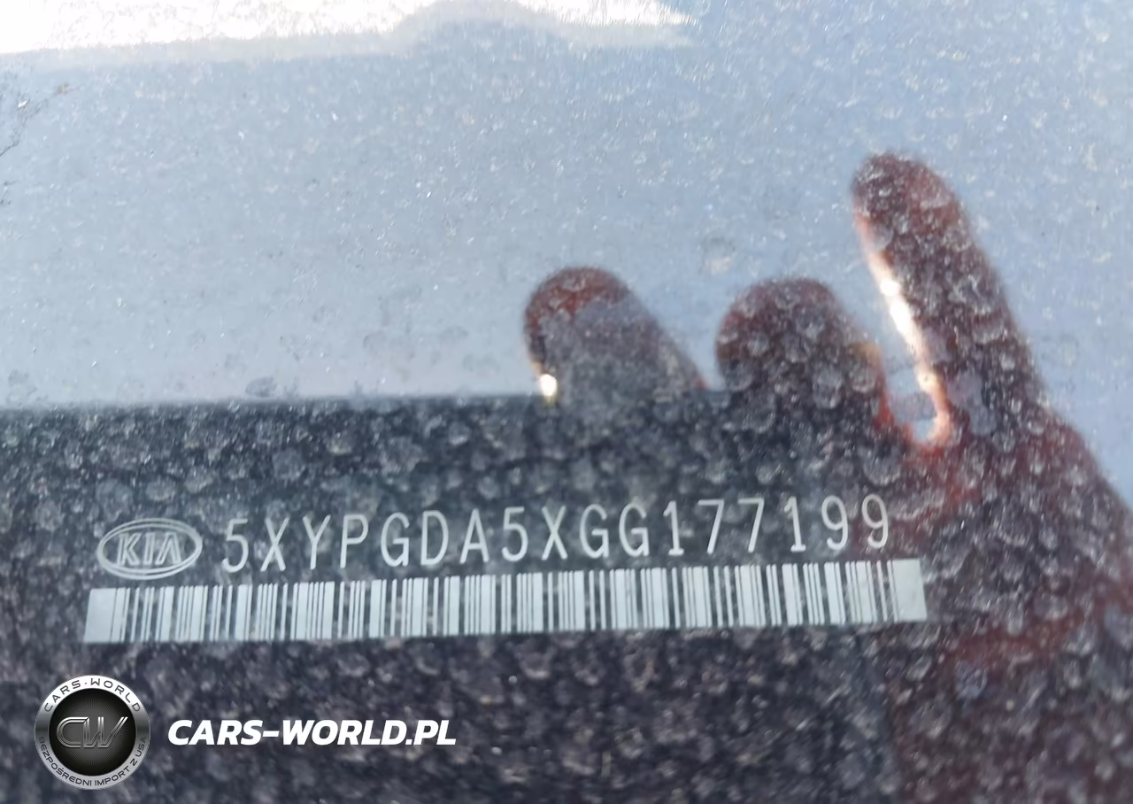 2016 Kia Sorento 3.3L Lx VIN:5XYPGDA5XGG177199 - 9