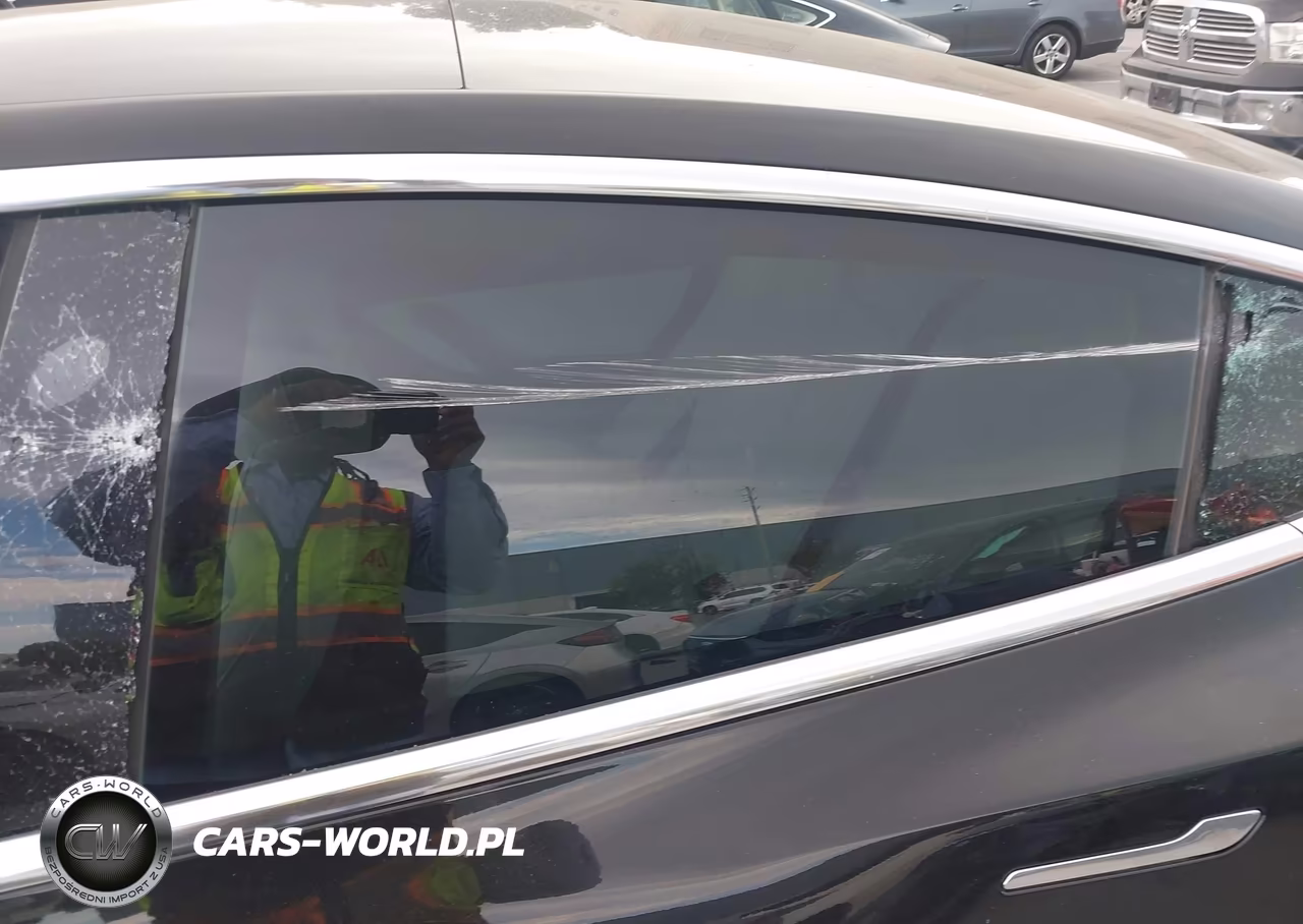 2019 Tesla Model 3 Long Range-Performance VIN:5YJ3E1EB1KF413693 - 19